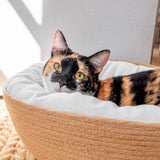 Wicker Cat Bed (3 Pieces)