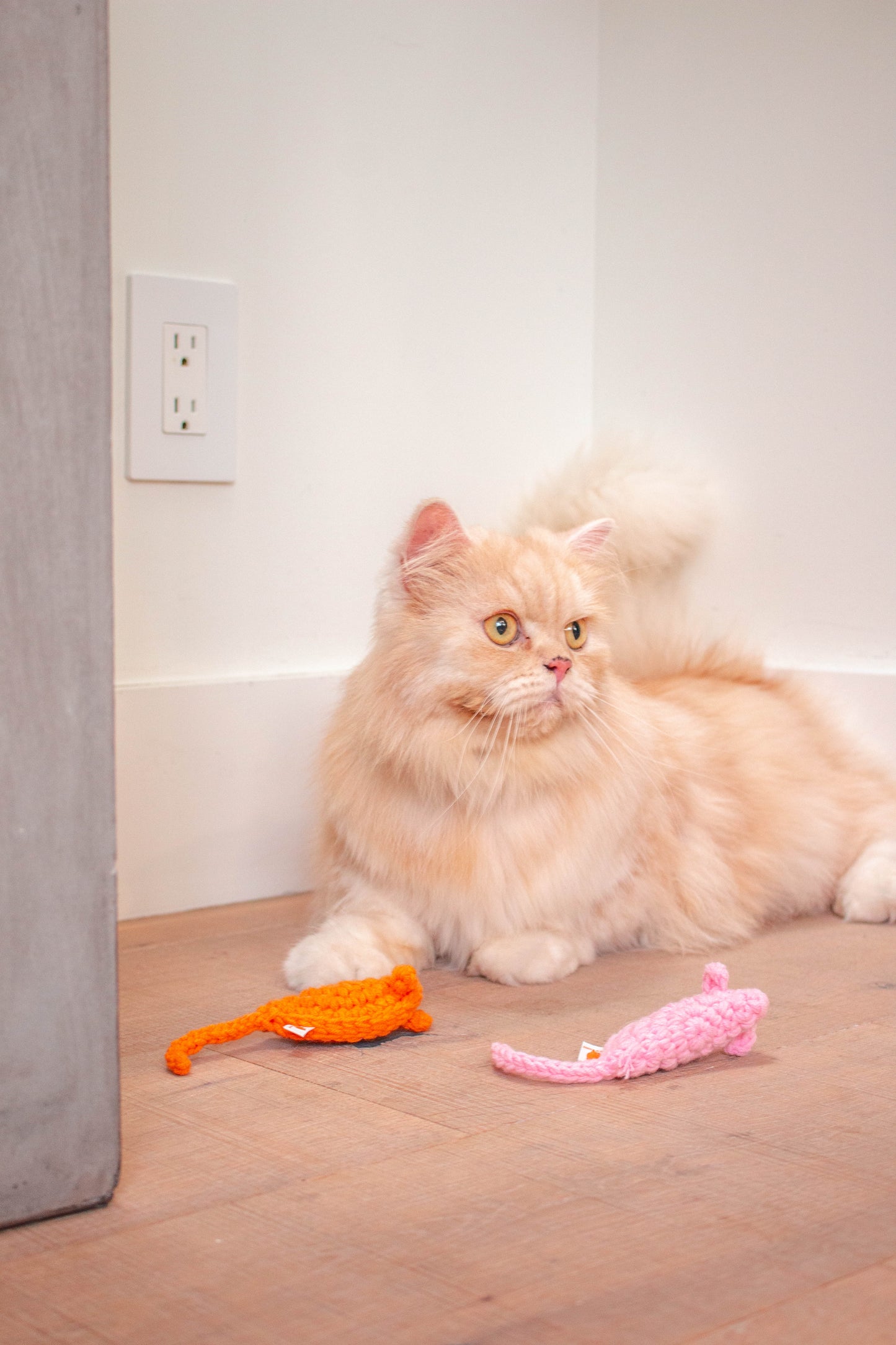 Mouse + Scratcher Bundle