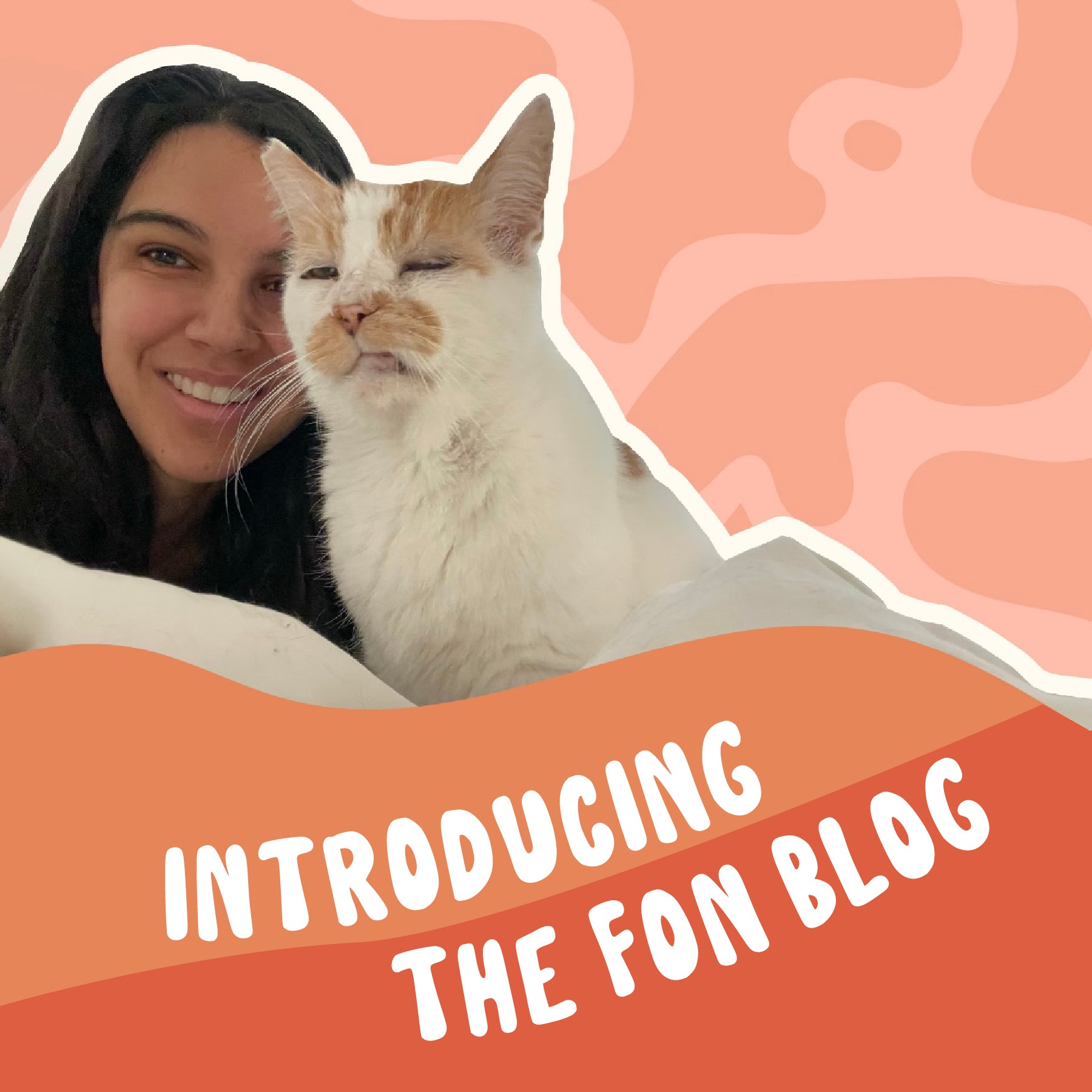 Introducing the FON Blog