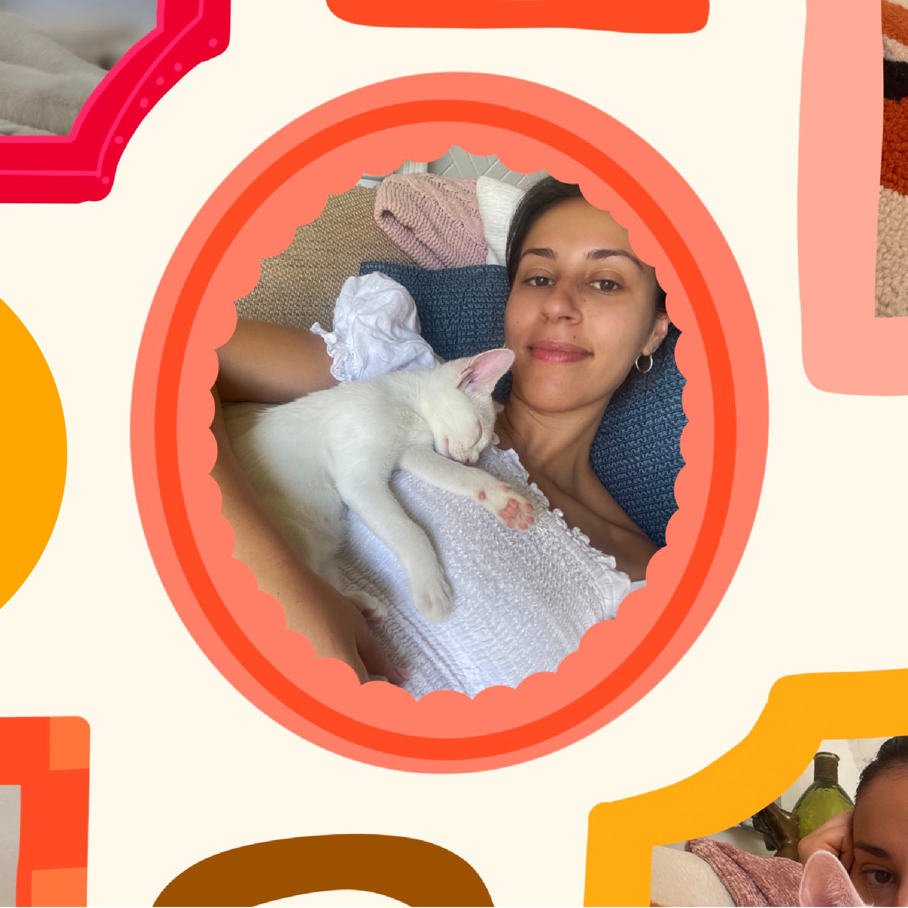 More Than a Cat Rescue: My Friends Of Normie Experience