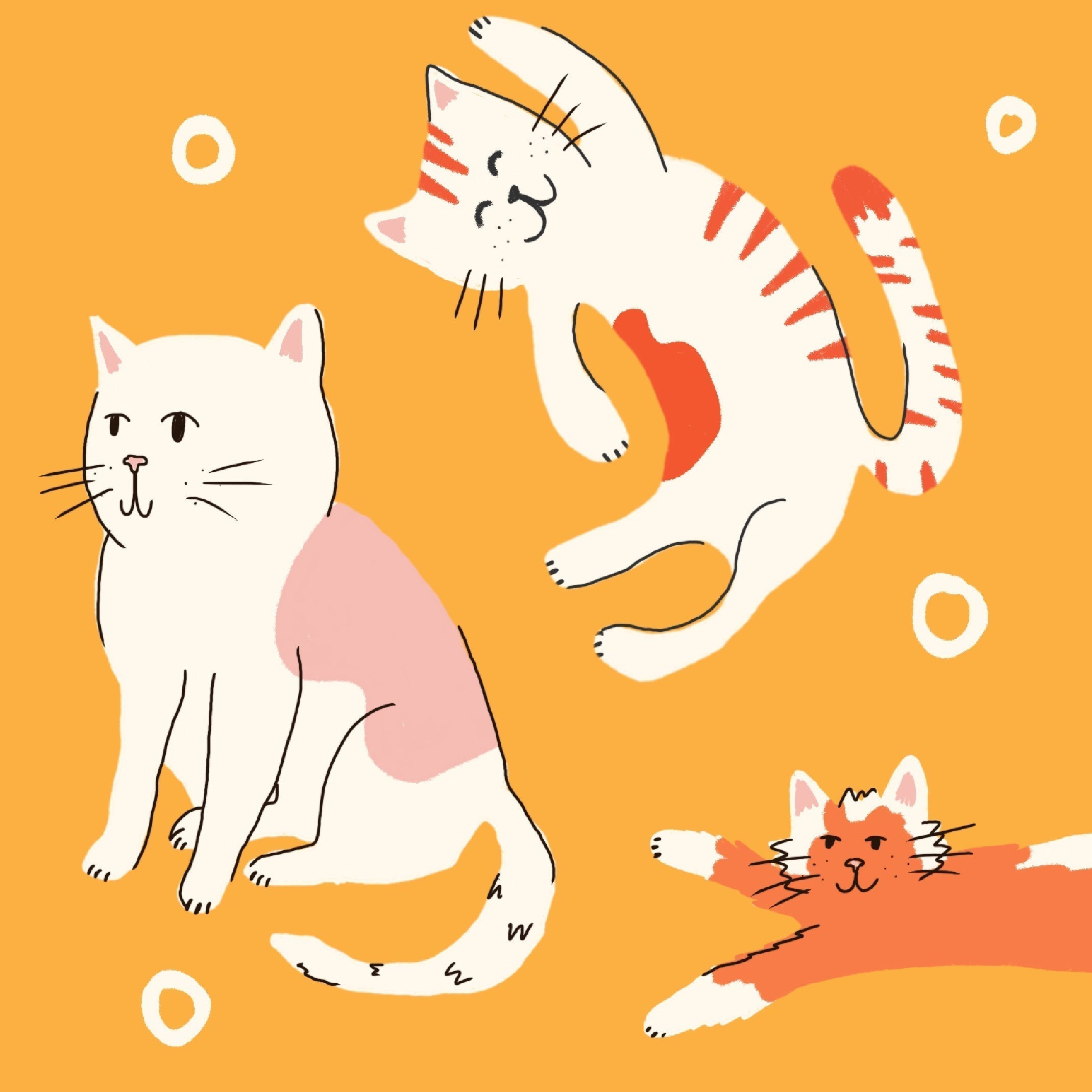 How Buying a Cat Toy Can Actually Help Save Rescue Kitties