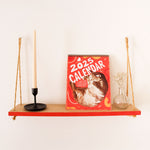 2025 Cat Calendar Pictured on a shelf