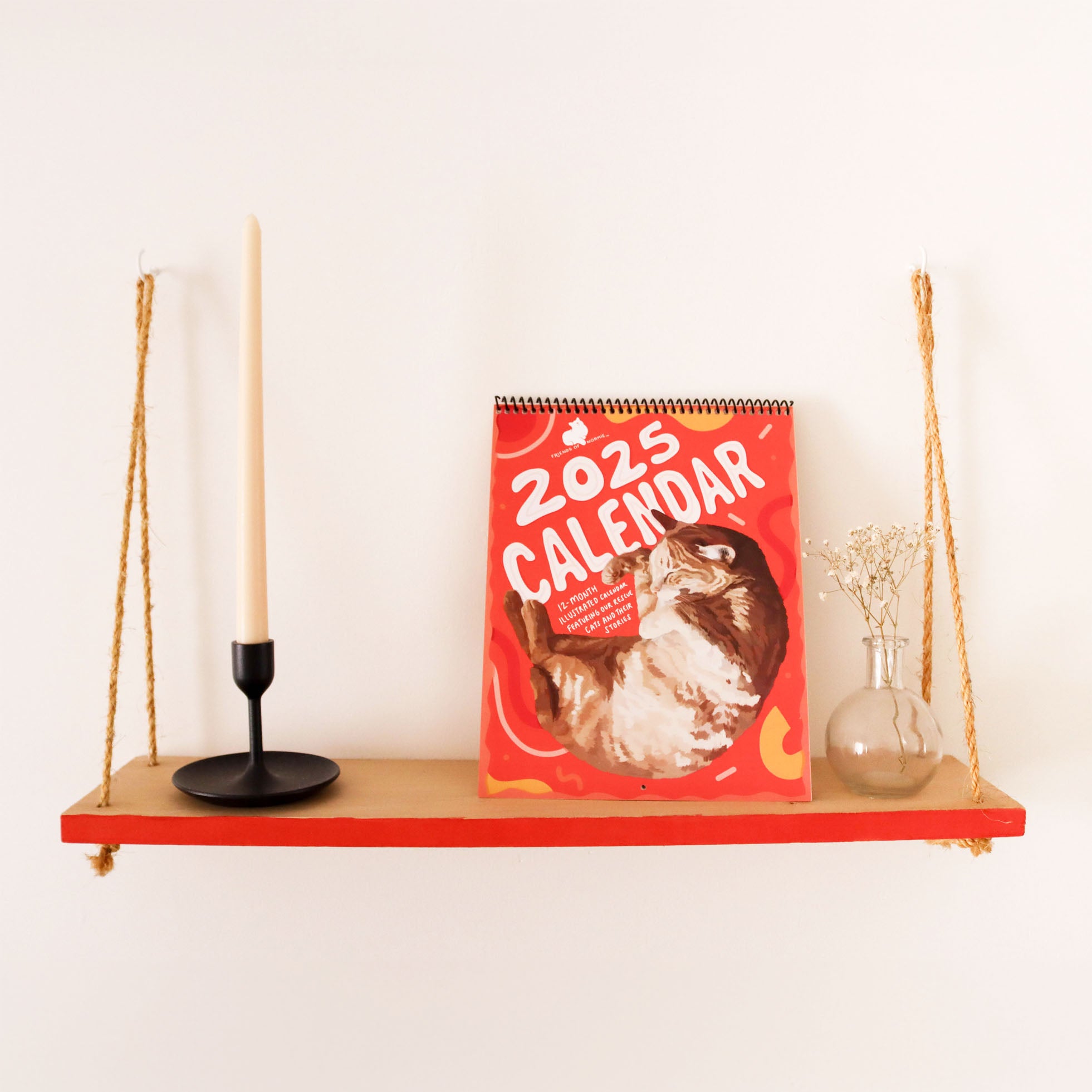 2025 Cat Calendar Pictured on a shelf