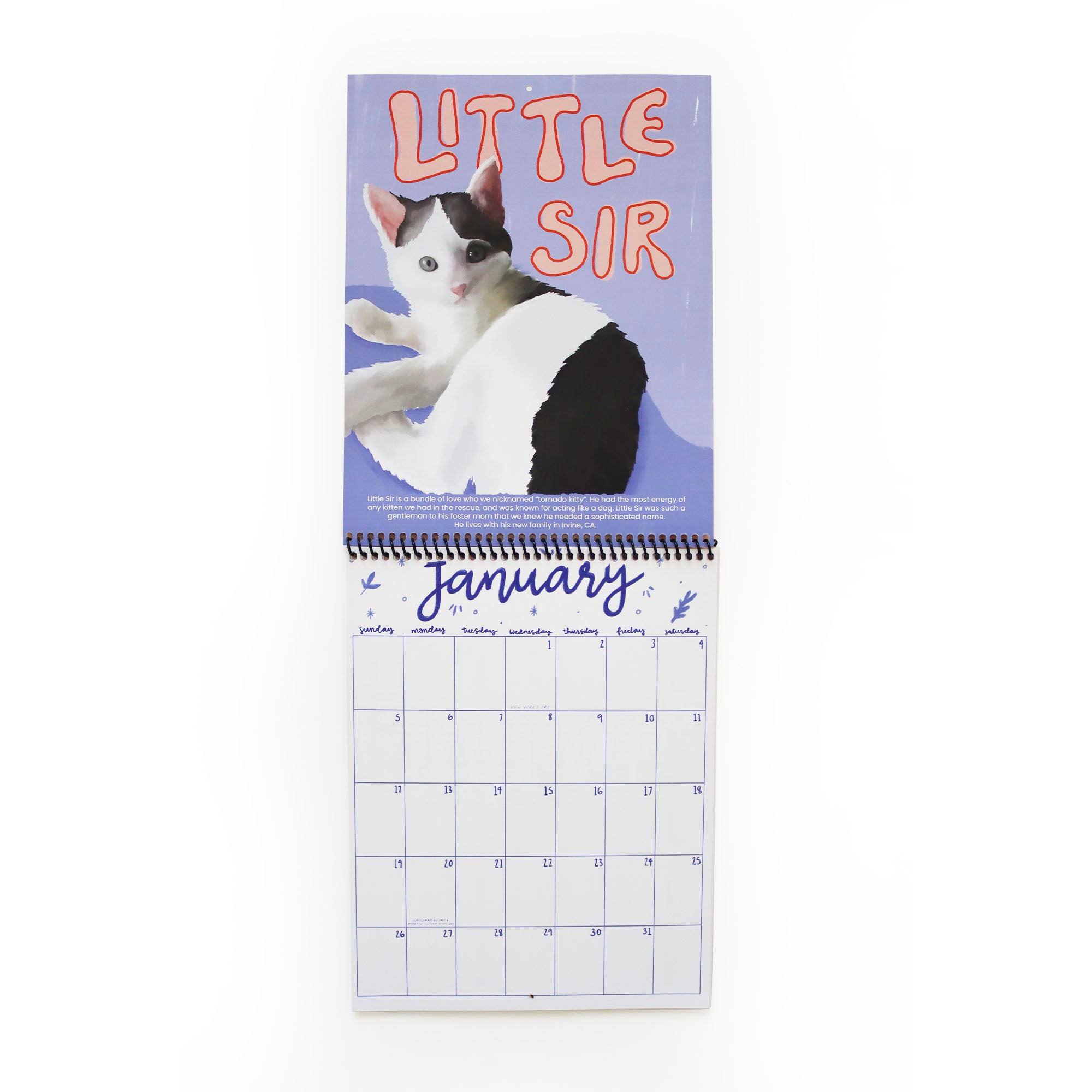 wall calendar showing january 2025