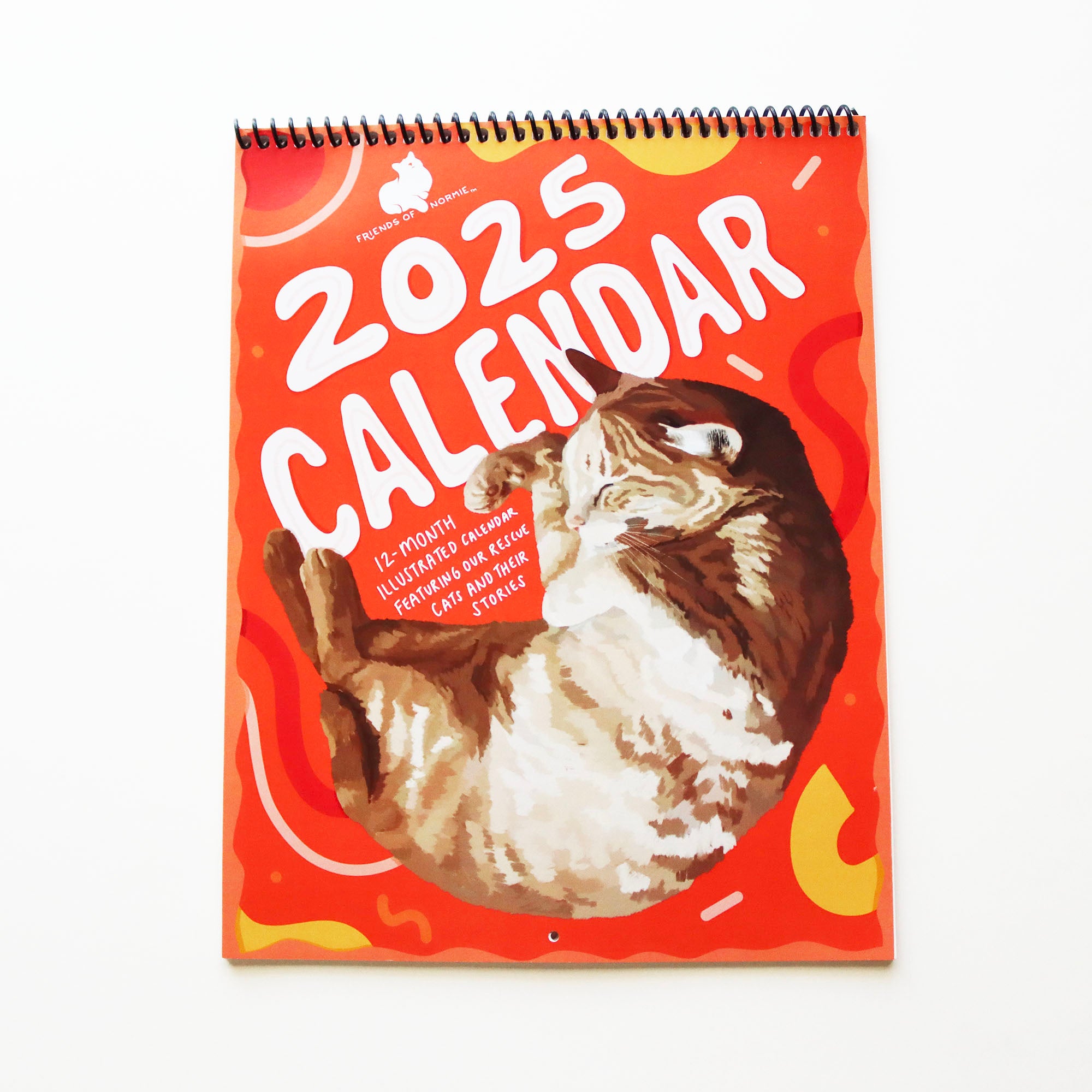 2025 cat calendar on white background